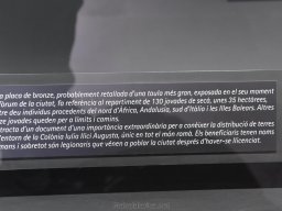 Ciudad de Elche 2022